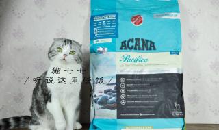 猫七七的护肤品真的好用吗 猫七七阿姨是谁